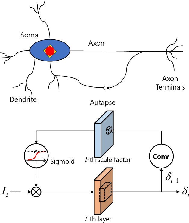 Figure 1 for BackEISNN: A Deep Spiking Neural Network with Adaptive Self-Feedback and Balanced Excitatory-Inhibitory Neurons