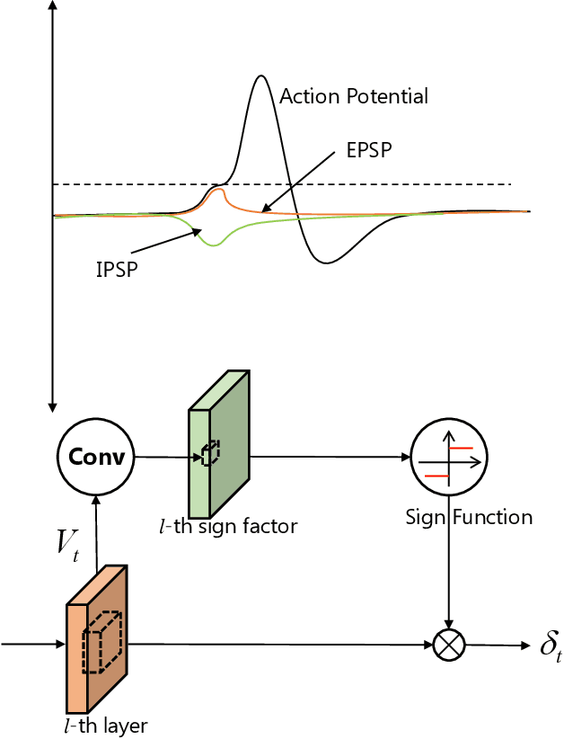 Figure 4 for BackEISNN: A Deep Spiking Neural Network with Adaptive Self-Feedback and Balanced Excitatory-Inhibitory Neurons