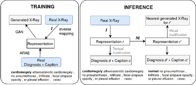 Figure 1 for Justifying Diagnosis Decisions by Deep Neural Networks