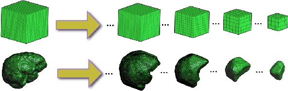 Figure 3 for Volumetric Mapping of Genus Zero Objects via Mass Preservation