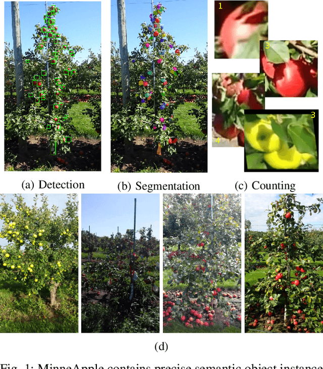 Figure 1 for MinneApple: A Benchmark Dataset for Apple Detection and Segmentation
