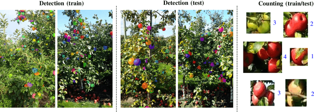 Figure 2 for MinneApple: A Benchmark Dataset for Apple Detection and Segmentation
