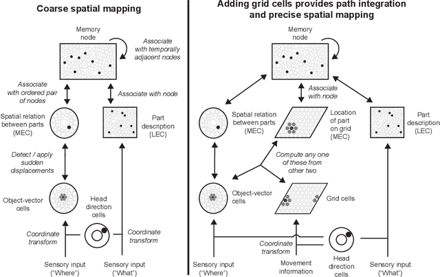 Figure 3 for Hippocampal Spatial Mapping As Fast Graph Learning