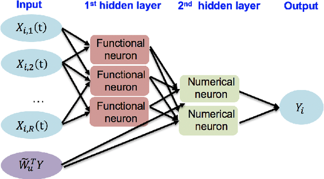 Figure 4 for Spatio-Temporal Functional Neural Networks