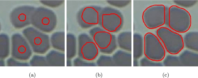 Figure 4 for Using the Split Bregman Algorithm to Solve the Self-Repelling Snake Model