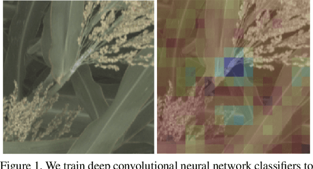 Figure 1 for Classification and Visualization of Genotype x Phenotype Interactions in Biomass Sorghum