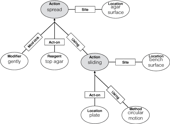 Figure 4 for An Annotated Corpus for Machine Reading of Instructions in Wet Lab Protocols