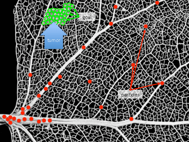 Figure 1 for Collecting a Swarm in a Grid Environment Using Shared, Global Inputs