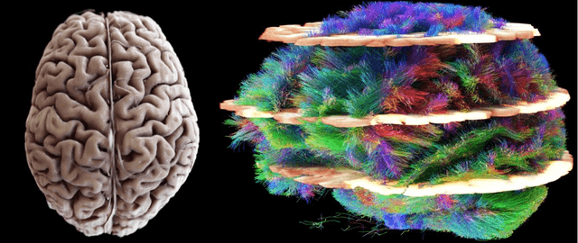 Figure 3 for Shaping the Future through Innovations: From Medical Imaging to Precision Medicine