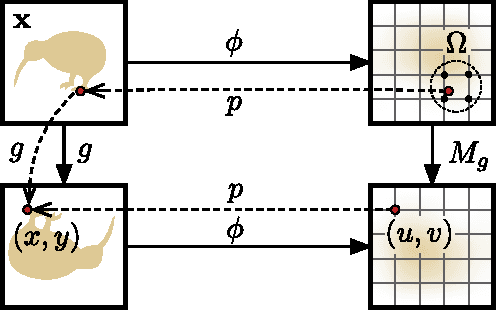 Figure 3 for Understanding image representations by measuring their equivariance and equivalence