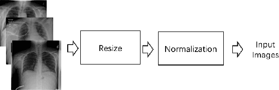 Figure 2 for COVID-19 Detection in Chest X-ray Images Using Swin-Transformer and Transformer in Transformer