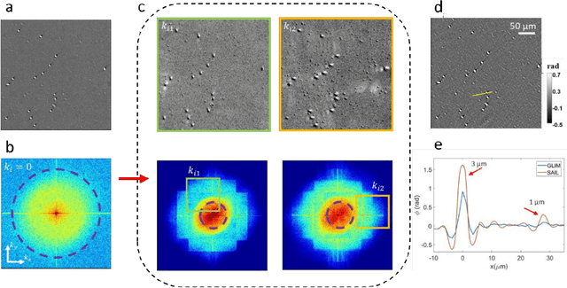 Figure 2 for Synthetic aperture interference light (SAIL) microscopy for high-throughput label-free imaging