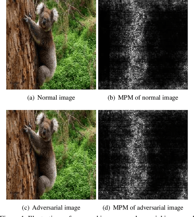 Figure 1 for Detection based Defense against Adversarial Examples from the Steganalysis Point ot View