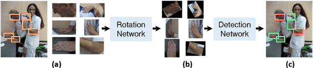 Figure 1 for Joint Hand Detection and Rotation Estimation by Using CNN