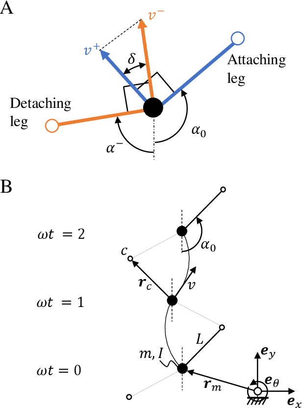 Figure 2 for Models of benthic bipedalism