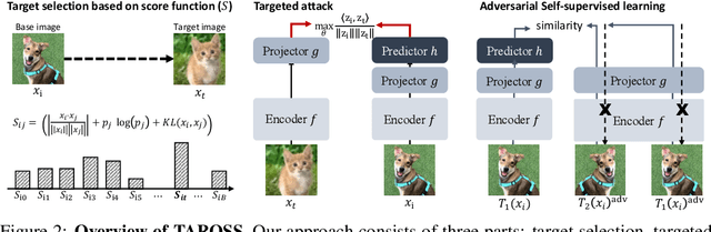 Figure 3 for Targeted Adversarial Self-Supervised Learning