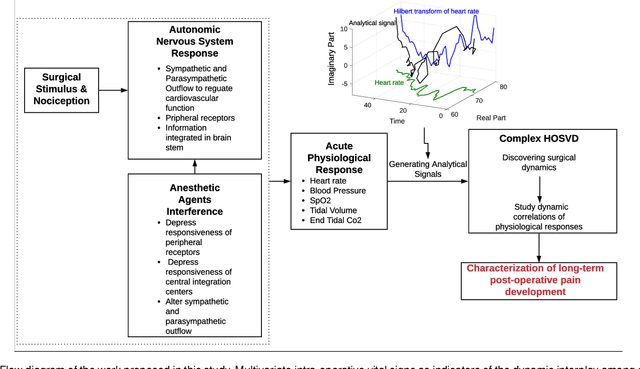 Figure 1 for Analysis of Intra-Operative Physiological Responses Through Complex Higher-Order SVD for Long-Term Post-Operative Pain Prediction