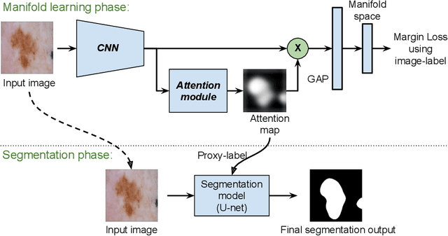 Figure 1 for Manifold-driven Attention Maps for Weakly Supervised Segmentation