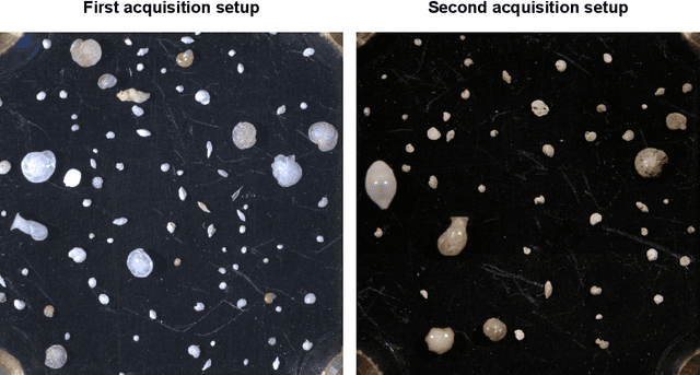 Figure 1 for Instance Segmentation of Microscopic Foraminifera