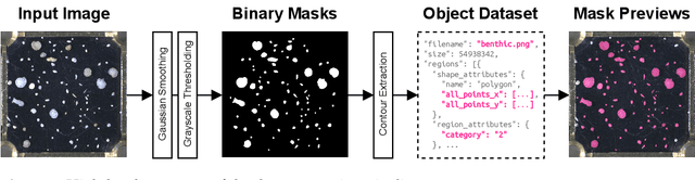 Figure 3 for Instance Segmentation of Microscopic Foraminifera