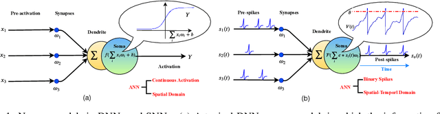 Figure 1 for Spike-Timing-Dependent Back Propagation in Deep Spiking Neural Networks