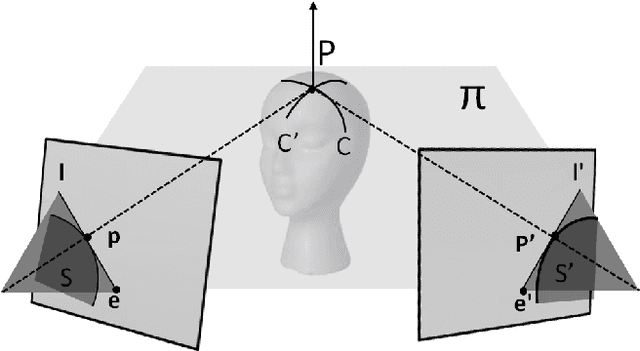 Figure 3 for Camera Calibration from Dynamic Silhouettes Using Motion Barcodes
