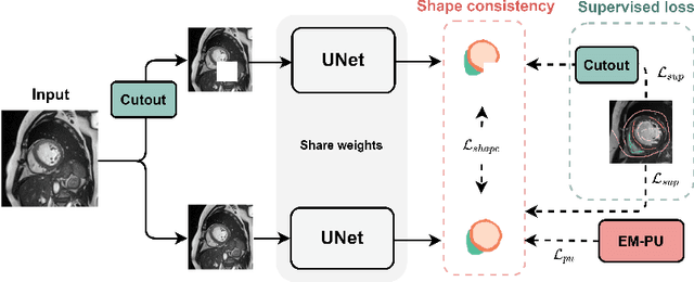 Figure 3 for ShapePU: A New PU Learning Framework Regularized by Global Consistency for Scribble Supervised Cardiac Segmentation