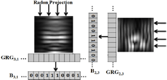 Figure 4 for Radon-Gabor Barcodes for Medical Image Retrieval