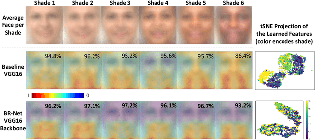 Figure 1 for Bias-Resilient Neural Network