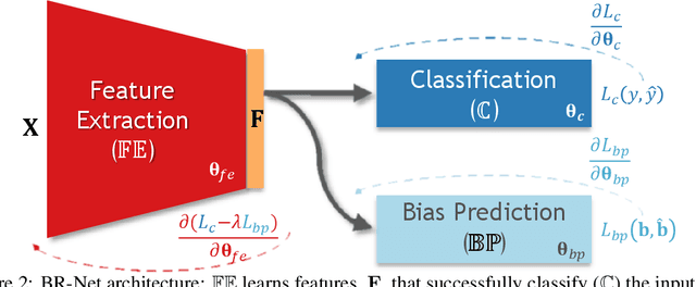 Figure 3 for Bias-Resilient Neural Network