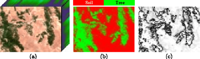 Figure 1 for Effective Spectral Unmixing via Robust Representation and Learning-based Sparsity