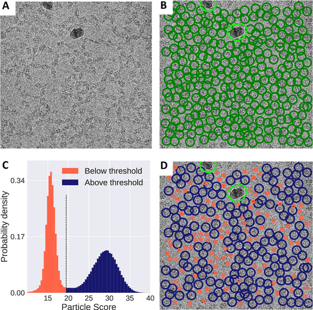 Figure 3 for Unsupervised particle sorting for high-resolution single-particle cryo-EM