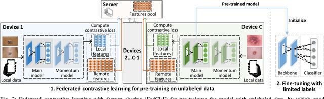 Figure 2 for Federated Self-Supervised Contrastive Learning and Masked Autoencoder for Dermatological Disease Diagnosis