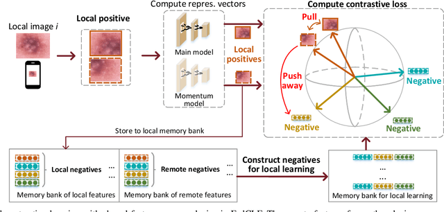 Figure 3 for Federated Self-Supervised Contrastive Learning and Masked Autoencoder for Dermatological Disease Diagnosis