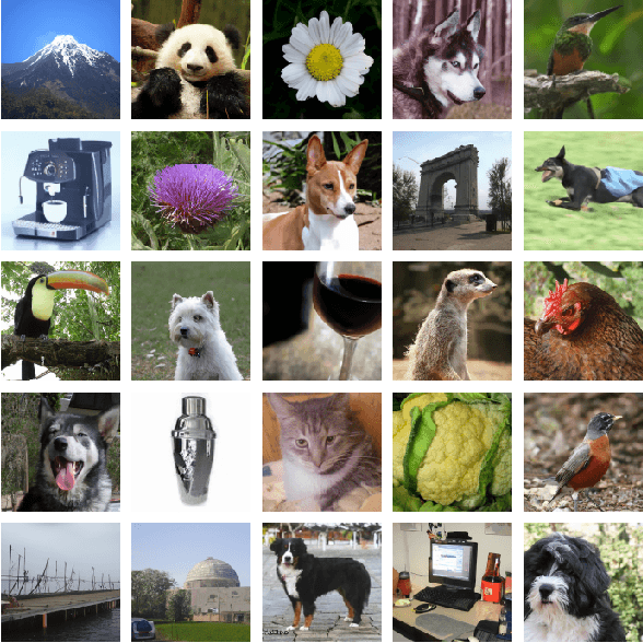 Figure 1 for Enhancing Diffusion-Based Image Synthesis with Robust Classifier Guidance