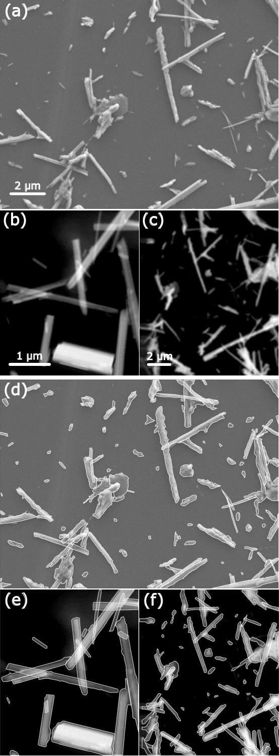 Figure 1 for A deep learned nanowire segmentation model using synthetic data augmentation