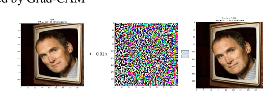 Figure 1 for Generalizing Adversarial Explanations with Grad-CAM