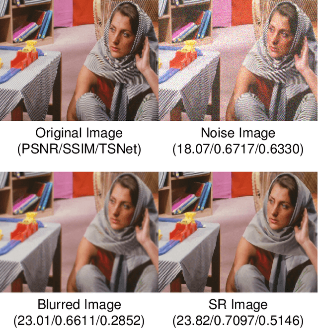 Figure 1 for Textural-Structural Joint Learning for No-Reference Super-Resolution Image Quality Assessment