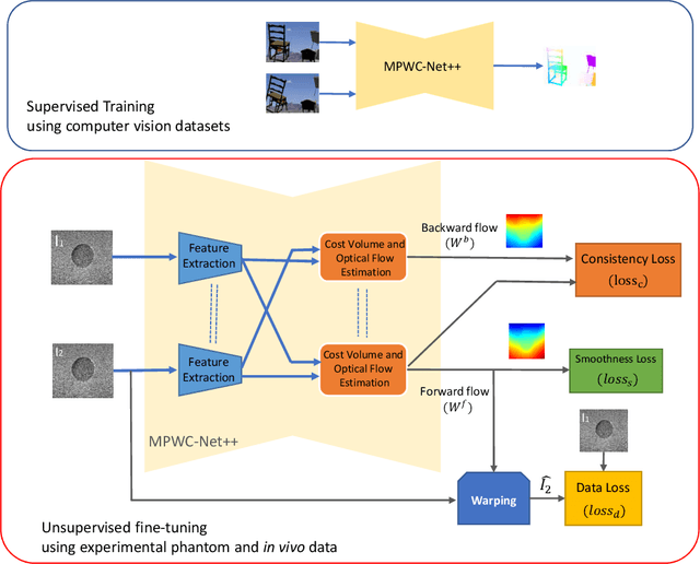 Figure 1 for Bi-Directional Semi-Supervised Training of Convolutional Neural Networks for Ultrasound Elastography Displacement Estimation