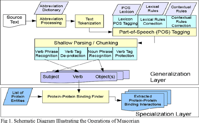 Figure 1 for Reconstruction of Protein-Protein Interaction Pathways by Mining Subject-Verb-Objects Intermediates