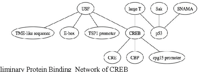 Figure 4 for Reconstruction of Protein-Protein Interaction Pathways by Mining Subject-Verb-Objects Intermediates