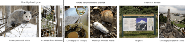 Figure 3 for MMIU: Dataset for Visual Intent Understanding in Multimodal Assistants