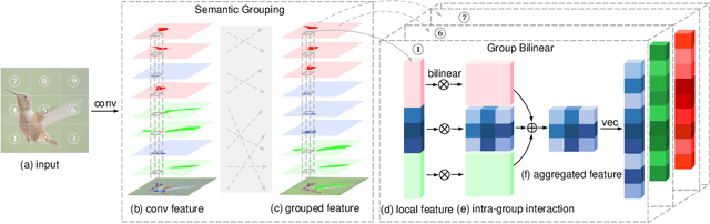 Figure 1 for Learning Deep Bilinear Transformation for Fine-grained Image Representation