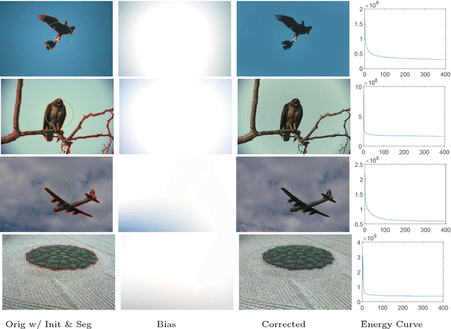 Figure 4 for IEOPF: An Active Contour Model for Image Segmentation with Inhomogeneities Estimated by Orthogonal Primary Functions
