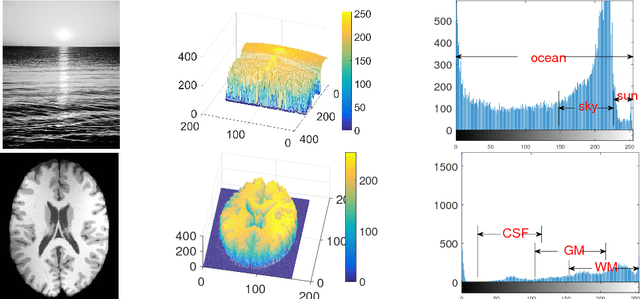 Figure 1 for IEOPF: An Active Contour Model for Image Segmentation with Inhomogeneities Estimated by Orthogonal Primary Functions