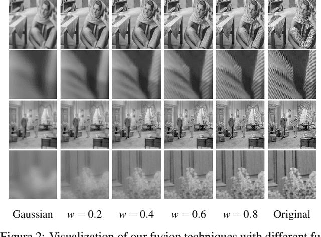 Figure 3 for Image Denoising with Control over Deep Network Hallucination