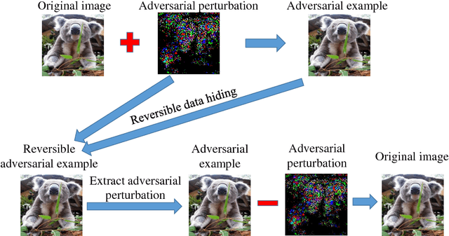 Figure 1 for Reversible Adversarial Examples