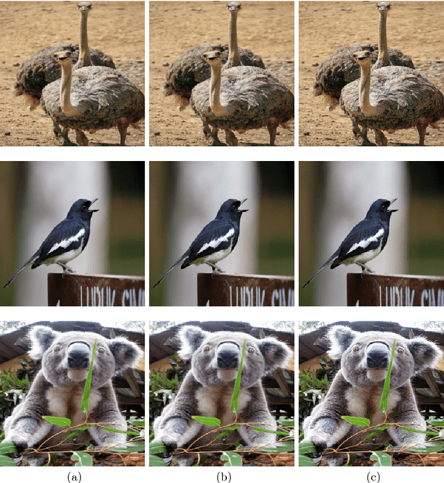 Figure 3 for Reversible Adversarial Examples