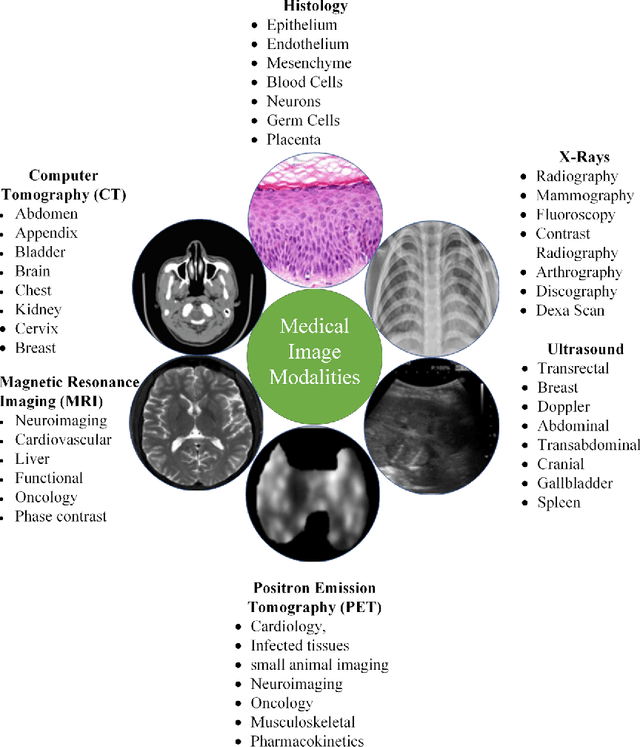Figure 1 for Medical Image Analysis using Convolutional Neural Networks: A Review