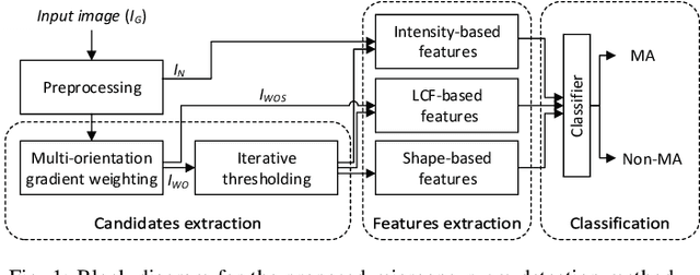 Figure 1 for Retinal Microaneurysms Detection using Local Convergence Index Features